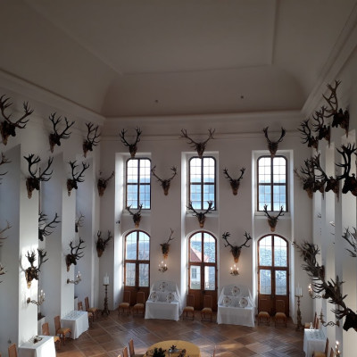 Drážďany - Florencie na Labi a Popelčin Moritzburg