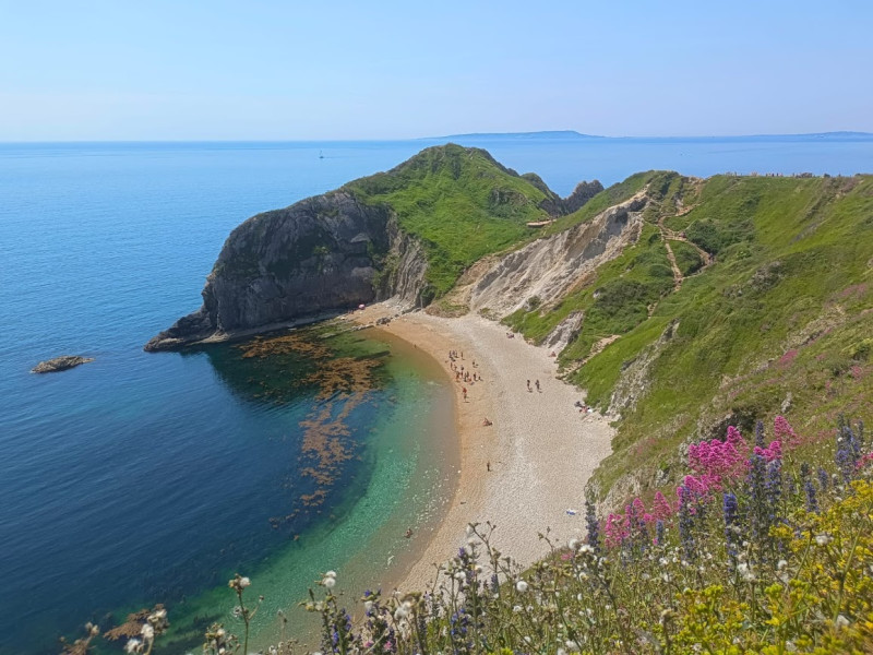 Bournemouth s výukou