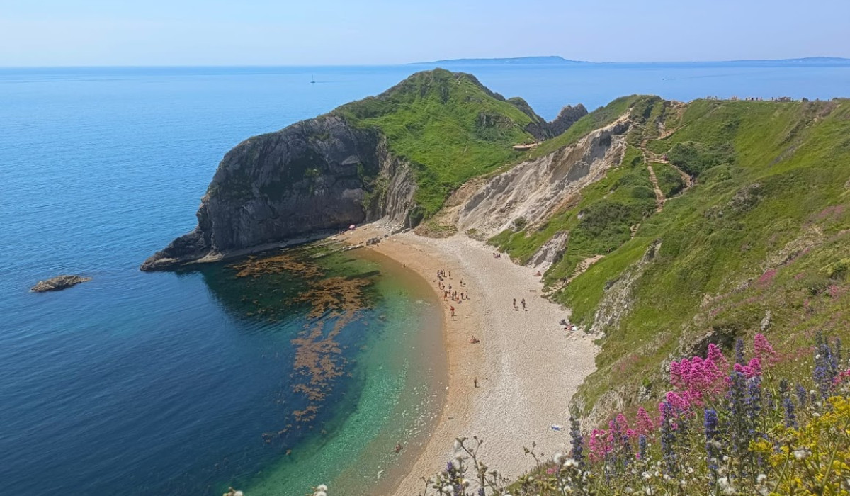 Bournemouth s výukou