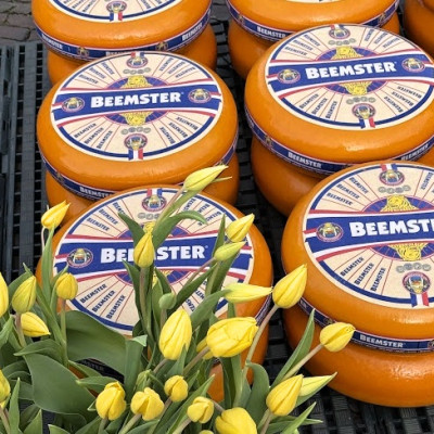 Amsterdam a holandské střípky